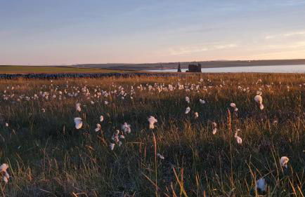 Self-catering Lighthouse Keeper's Cottage on the NC500 - Photo 80