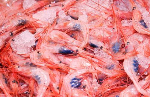 Precioso apartamento frente al mar - Foto 48