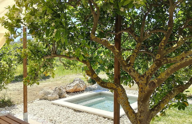 AgriBarocco - Photo 24