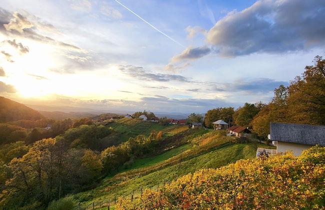 Vineyard cottage Soncni gric - Foto 34