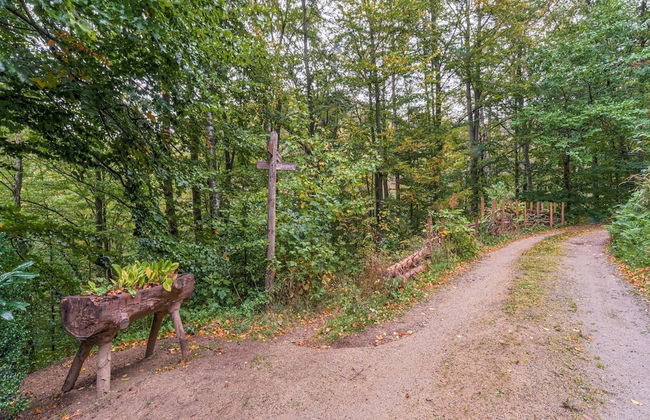 Historisches Forsthaus Harz - Foto 35