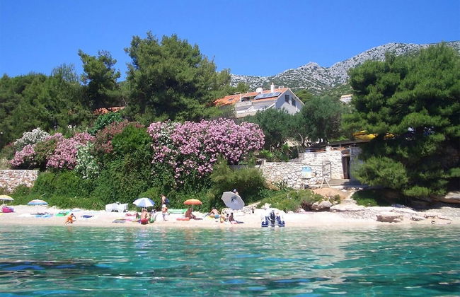 Dino - Gorgeous Garden - SA1 Zavala - Photo 18