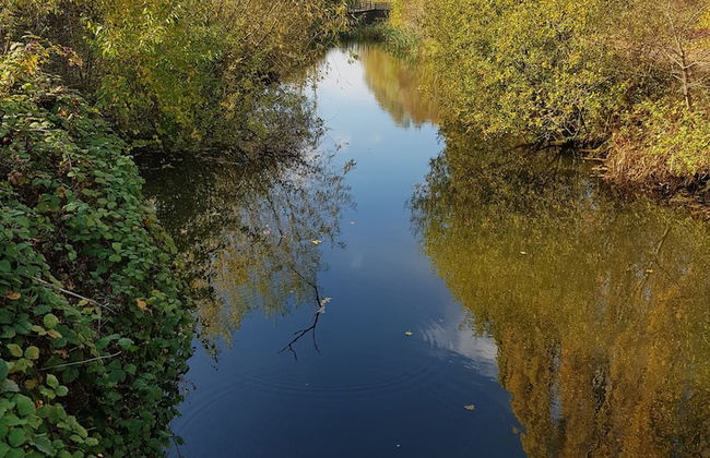 Chatterley House - Foto 44