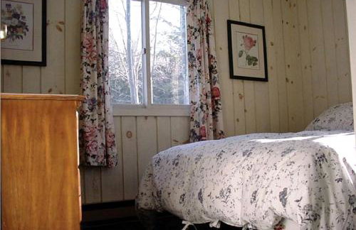 Secluded Family Mountain Rental with Fireplace in Windham, New York - Foto 4