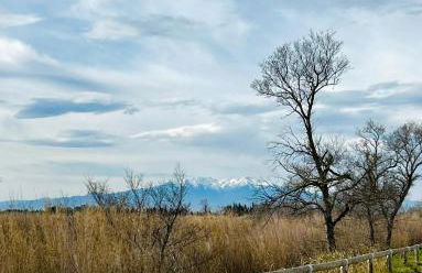 La Villa Azul - Foto 37