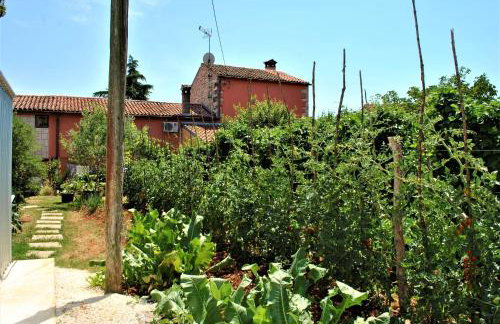 Apartment Pino - Foto 15