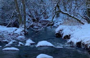 Beautiful Listed Mansion with incredible woodland views - Photo 60