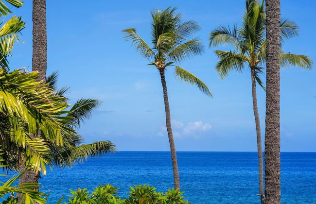 Kona Makai 2-201 - Foto 75