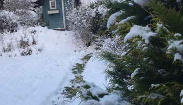 Schönwald Waldchalet am Musenberg - Foto 2