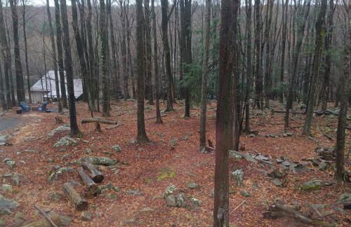 Hideout Pocono Chalet - Foto 49