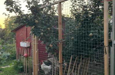 Ferienwohnung Geng - Foto 18