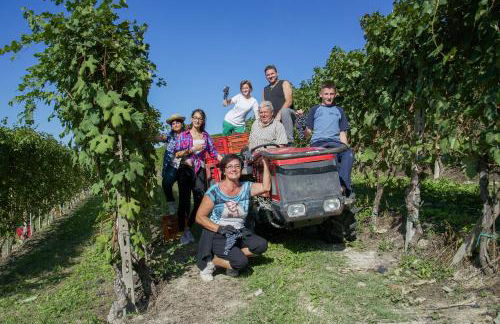 Villa Laura - Foto 75