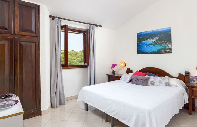 Bougainvillae Trilo - Foto 13