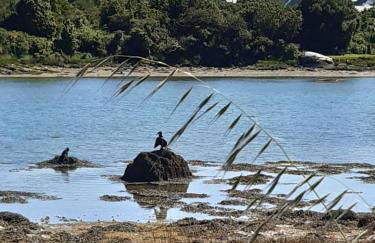 Bel appartement T2 atypique - Foto 16