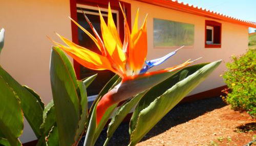 Au petit Madère - Photo 4