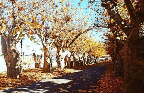 Patio de las Flores - Foto 31