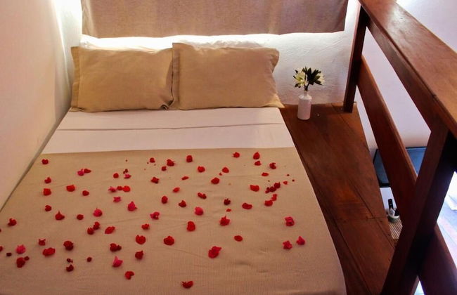 Swiss Garten Jeri - Foto 13