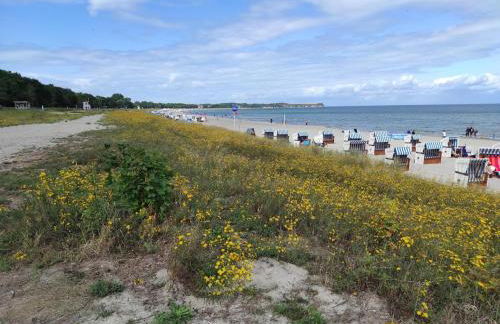 Arresting Apartment near Sea in Klütz - Foto 66
