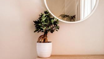 Kentia Fine Living Apartment - Foto 3