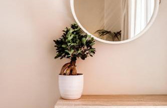 Kentia Fine Living Apartment - Foto 3