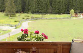 Stacherhof - Photo 38