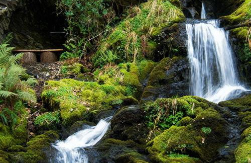 Aberdunant Hall Holiday Park - 21962 - Foto 17