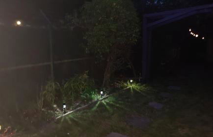 Chiltern Nursuries - Foto 20