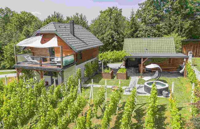 Vineyard cottage Matej - Foto 31