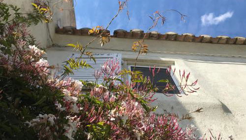 Le Mas des Figuiers - Foto 5