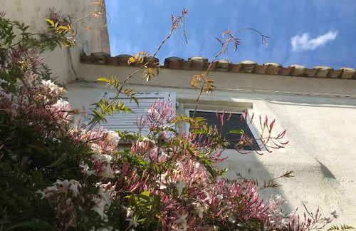 Le Mas des Figuiers - Foto 5