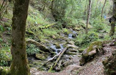 Precioso apartamento con vistas montaña o rio - Foto 51