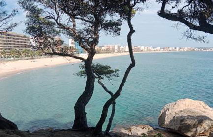 Apartament La Fleca - Foto 15