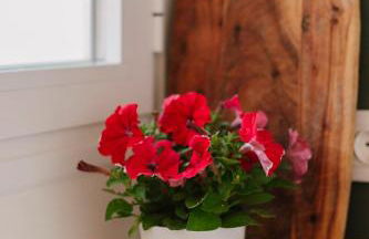 Hacienda Clavero Five Deluxe Apartment - Photo 52