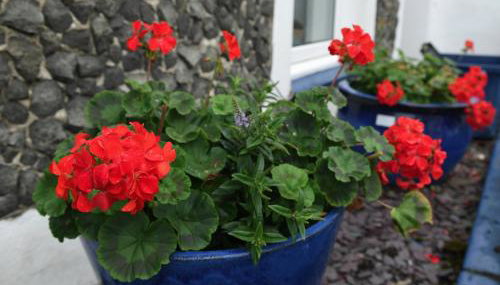 7 Mersey Street, Borth-y-Gest - Foto 3