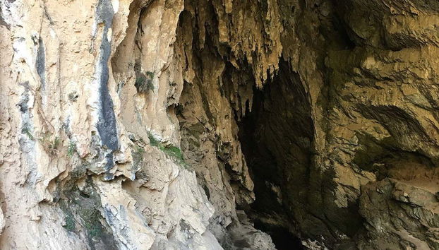 Valley of the Flowers Tour - Foto 3