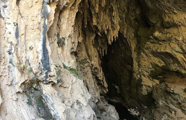 Tour della Valle de las Flores - Foto 3