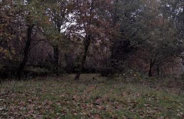 Etna 1928 Country House - Photo 80