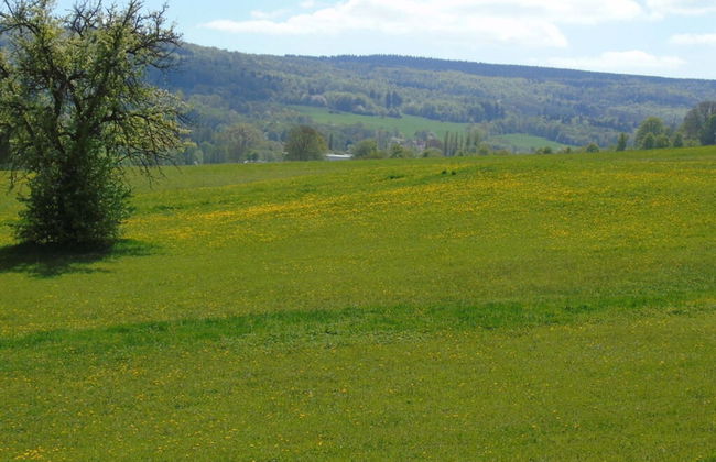 Csilla Comfortable Holiday Residence - Foto 23