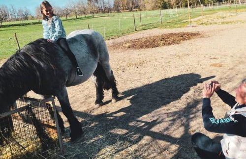 Ferienhof Silbereis - Photo 12