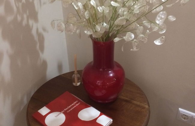 Casas Do Castelo De Lamego - Foto 17