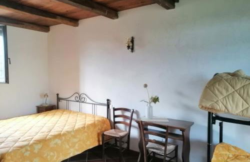 Predio Potantino - Foto 30