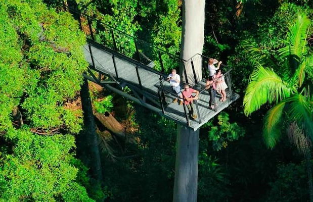 Shambala Estate - Photo 31