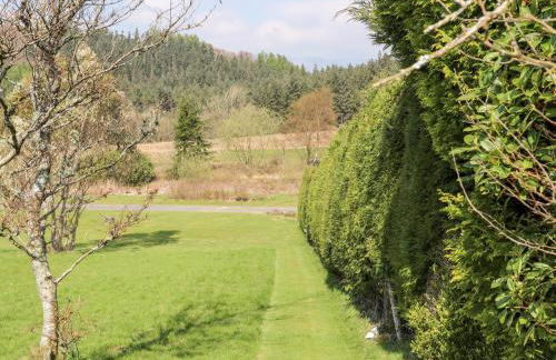 Gilfachwydd - Foto 49