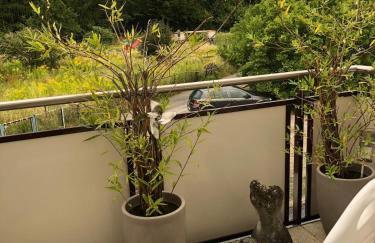 Bella Casa am Rhein - Foto 10