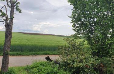 Ferienwohnung im Schwarzwaldhaus - Foto 13