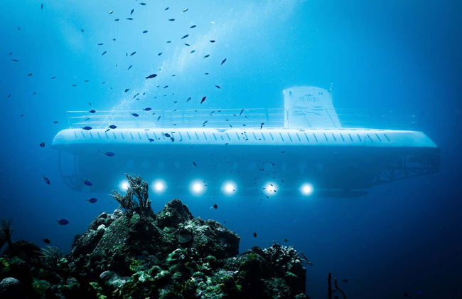 Paseo en submarino por Cozumel - Foto 13