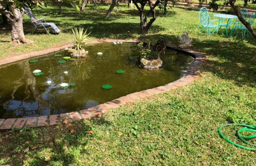 La Casita del Cactus - Casa de campo con piscina - Photo 22