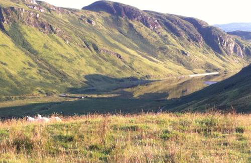 CROFTERS CABIN - Foto 11