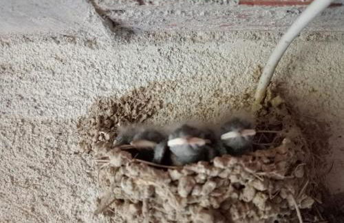 ai Confini - Foto 40