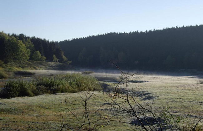 Luxurioser Wellnessaufenthalt in Elend - Foto 30